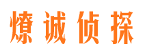 龙安市侦探调查公司